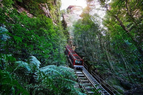 Fully Inclusive Blue Mountains Private Tour Inc Scenic World & Featherdale Entry - Travel Search 4