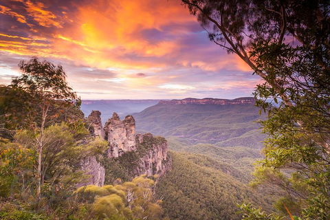 Fully Inclusive Blue Mountains Private Tour Inc Scenic World & Featherdale Entry - Travel Search 5