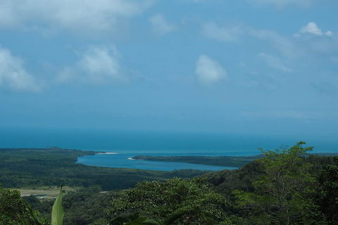 Cape Tribulation, Daintree Rainforest And Wildlife Tour - Tourism Guide 1