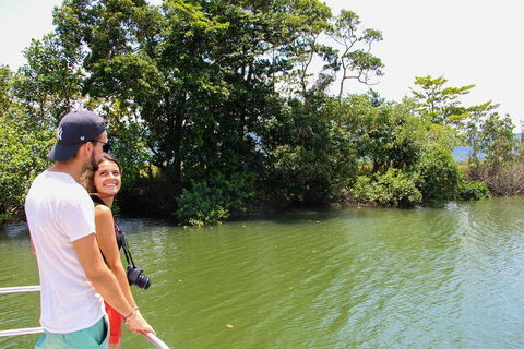 Cape Tribulation, Daintree Rainforest And Wildlife Tour - Tourism Guide 2