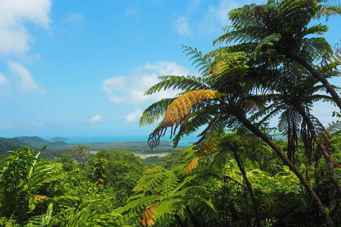 Cape Tribulation, Daintree Rainforest And Wildlife Tour - Tourism Guide 3