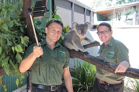 Virtual Interactive Australian Wildlife Tour With Private Guide-Wildlife Habitat - Cruises Travel 0
