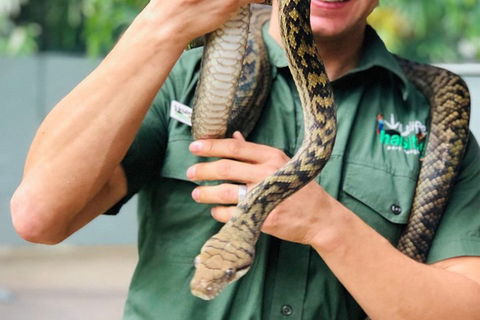 Virtual Interactive Australian Wildlife Tour With Private Guide-Wildlife Habitat - Cruises Travel 1
