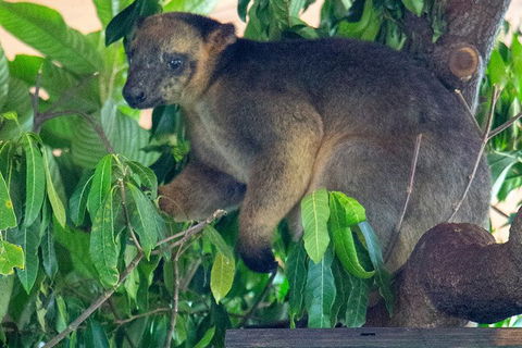Virtual Interactive Australian Wildlife Tour With Private Guide-Wildlife Habitat - Cruises Travel 4