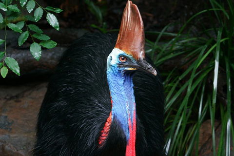 Wildlife Habitat Port Douglas - Tourism Guide 3