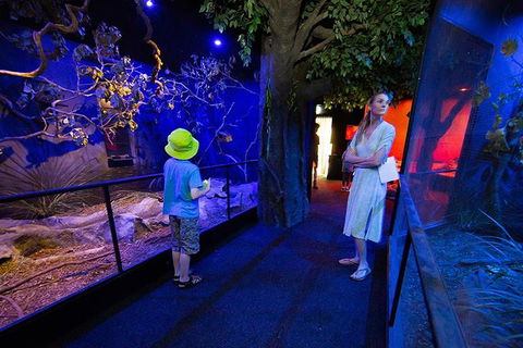 Wildlife Habitat Port Douglas - Tourism Guide 4