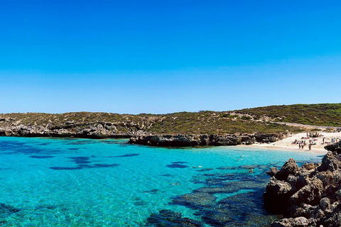 Rottnest Island Roundtrip Fast Ferry From Hillarys Boat Harbour - Travel Search 4