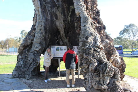 Barossa And Hahndorf Day Trip From Adelaide Including Wine Tasting And Lunch - Travel Search 1