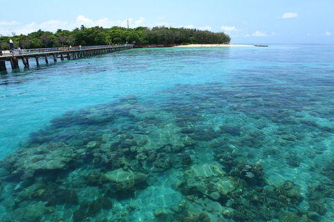 Cairns City Sights And Surrounds Tour - Tourism Guide 1