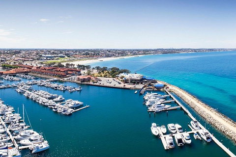 Glass Bottom Boat & Entry At AQWA - Tourism Guide 2