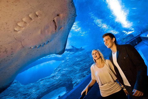 Glass Bottom Boat & Entry At AQWA - Tourism Guide 4