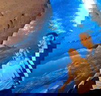 Dive with Sharks at AQWA - Tourism Guide