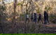 Wild Australian Wildlife 4WD Tour From Sydney - thumb 0