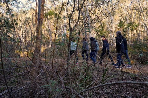 Wild Australian Wildlife 4WD Tour From Sydney - Tourism Guide 0