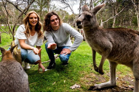 Moonlit Sanctuary Wildlife Conservation Park Daytime General Entry Ticket - Tourism Guide 2