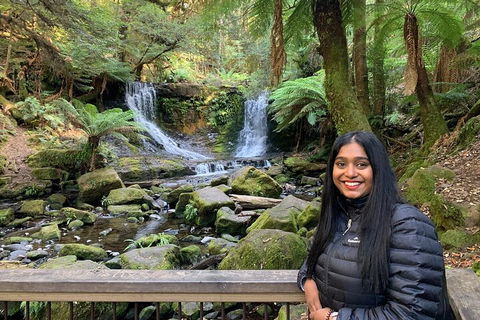 Day Tour In Mt. Field, Mt. Wellington, Bonorong Wildlife Sanctuary And Richmond - Travel Search 5