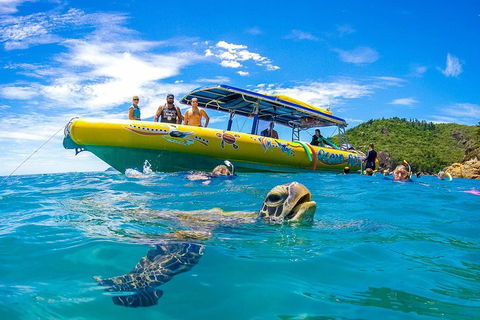 Great Barrier Reef Scenic Flight And Ocean Rafting Whitehaven Beach Day Trip - Travel Search 1