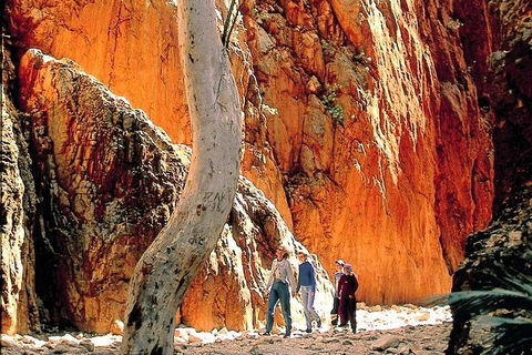 West MacDonnell Ranges Day Trip From Alice Springs - Tourism Guide 3