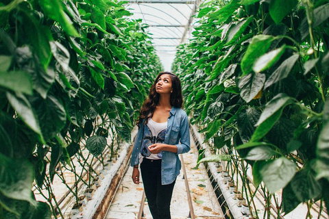 Yarra Valley Local Produce And Wine Tasting Tour - Travel Agents 0