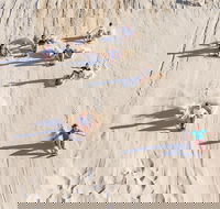Unlimited Sandboarding - Tourism Guide