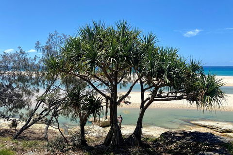 Full-Day Small Group Tour To North Stradbroke Island - Travel Search 5
