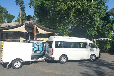Airport Transfer To Or From Cairns Hotels For Up To 13 People - Tourism Guide 4