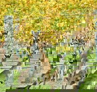 Margaret River Indulge and Discover Day Tour - Tourism Guide