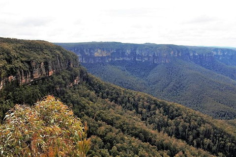 Blue Mountains - Travel Search 3