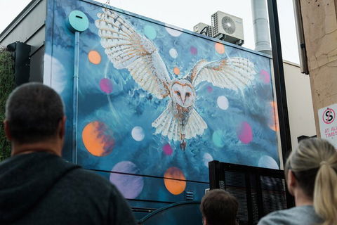 Jimmy C Street Art Walking Tour - Tourism Guide 1