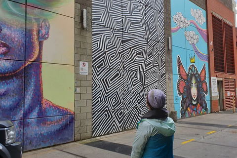 Jimmy C Street Art Walking Tour - Tourism Guide 2