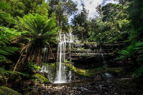 3-Day Tour To The Falls, Mountains, Lake & More Of West Coast Tasmania - Tourism Guide 4