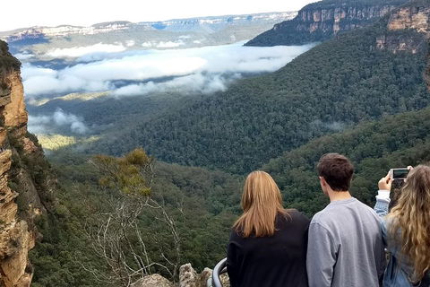 Blue Mountains Private Tour - Wild Kangaroos, Waterfalls And The Three Sisters - Travel Search 3
