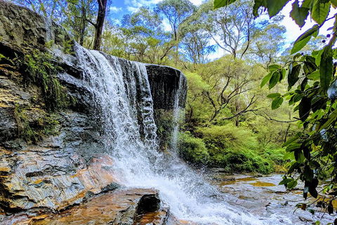 Blue Mountains Private Tour - Wild Kangaroos, Waterfalls And The Three Sisters - Travel Search 5