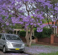 Sydney Secrets  Bondi Beach Private 4 Hr Morning with Personalised Sydney Tours - Tourism Guide