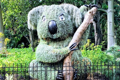 Discover Sydney - Botanic - Travel Search 1