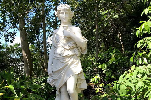 Discover Sydney - Botanic - Travel Search 2