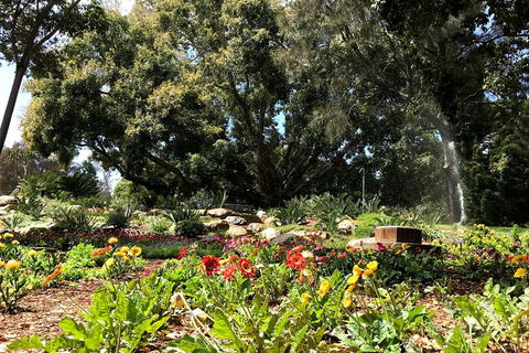 Discover Sydney - Botanic - Travel Search 3