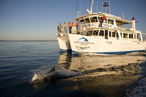 Jervis Bay Dolphin Watch Cruise - Tourism Guide 3