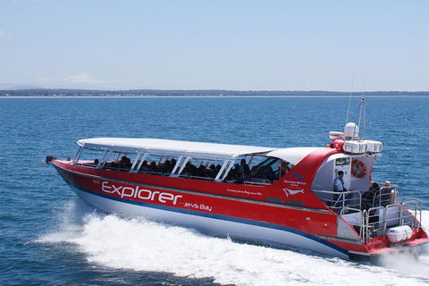 Whale Watching Jervis Bay - Tourism Guide 1
