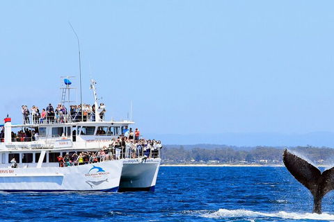 Whale Watching Jervis Bay - Tourism Guide 4