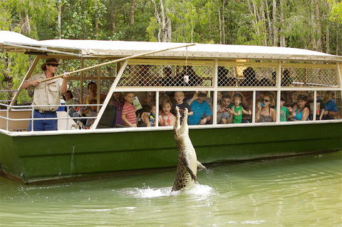 Hartley's Crocodile Adventure Half-Day Tour - Travel Search 0