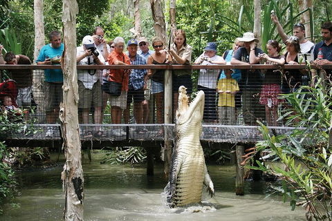 Hartley's Crocodile Adventure Half-Day Tour - Travel Search 1