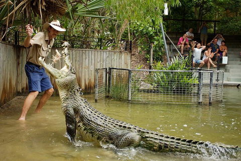 Hartley's Crocodile Adventure Half-Day Tour - Travel Search 2