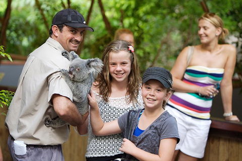 Hartley's Crocodile Adventure Half-Day Tour - Travel Search 3