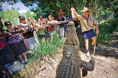 Hartley's Crocodile Adventure Half-Day Tour - Travel Search 4