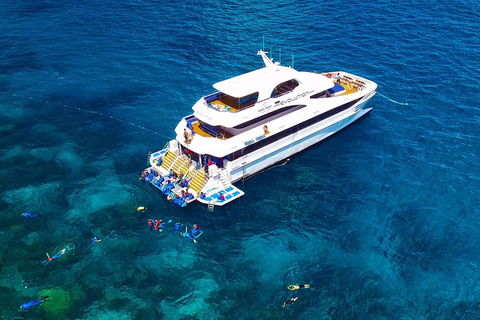 Great Barrier Reef Snorkeling And Diving Cruise From Cairns - Travel Search 5