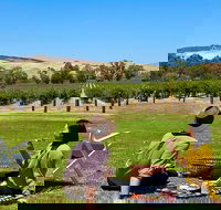 Private Picnic and Wine Tasting Experience in Barossa Valley - Tourism Guide