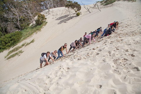 3 Day Tasmanian Wild West Coast Tour From Hobart To Launceston - Tourism Guide 2