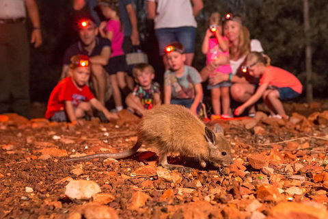 Alice Springs Desert Park Nocturnal Tour - Tourism Guide 1