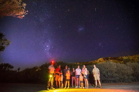 Alice Springs Desert Park Nocturnal Tour - Tourism Guide 2